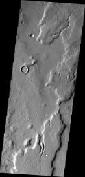 This image from NASA's Mars Odyssey shows numerous small channels found in this region of Tempe Terra.