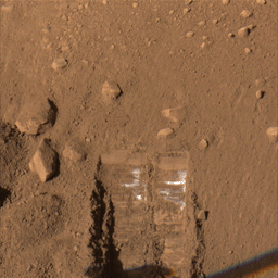 The Surface Stereo Imager on NASA's Phoenix Mars Lander recorded this true-color image of the lander's Robotic Arm enlarging and combining the two trenches informally named 'Dodo' (left) and 'Goldilocks.'