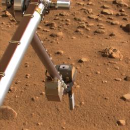 This image taken on July 14, 2008, shows the silver colored rasp protruding from NASA's Phoenix Mars Lander's Robotic Arm scoop. The scoop is inverted and the rasp is pointing up above a red hewn martian surface covered with rocks.