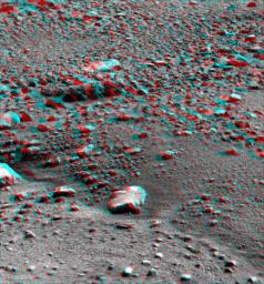 This anaglyph, acquired by NASA's Phoenix Lander on Jun. 26, 2008, shows a stereoscopic 3D view of the Martian surface near the lander. 3D glasses are necessary to view this image.