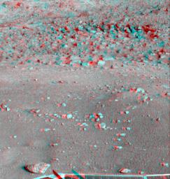 This anaglyph, acquired by NASA's Phoenix Lander on Jun. 23, 2008, shows a stereoscopic 3D view of the Martian surface near the lander. 3D glasses are necessary to view this image.