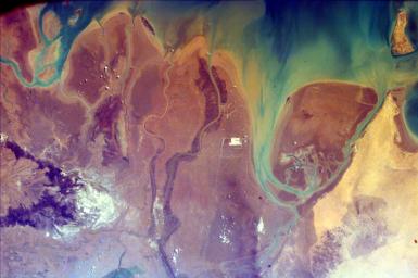 This image from NASA's EarthKAM is of the northern end of the Persian Gulf and the broad delta complex of the Tigris, Euphrates, Shatt al Arab, and Karun rivers has captured the arid-looking wetlands of northeast Kuwait (Bubiyan Island).