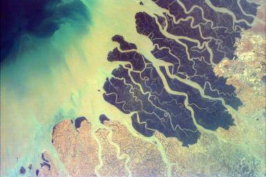 Parts of the vast Ganges delta, in fact the world's largest, lie in both Bangladesh and the State of West Bengal, India as seen by NASA's EarthKAM.