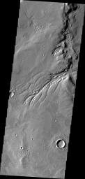 This image from NASA's Mars Odyssey shows an impressive drainage system emptying into Semeykin Crater on the northern margin of Arabia Terra on Mars.