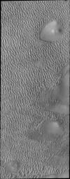 This image from NASA's Mars Odyssey shows the margin of Mars' north polar erg - an extensive field of dunes that encircles the pole.