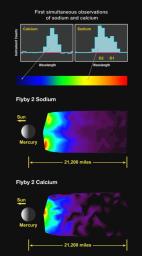 First Simultaneous Measurements of Sodium and Calcium in Mercury's Exosphere