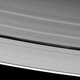 Although Saturn's moon Pan is absent from this image from NASA's Cassini spacecraft taken on Feb. 25, 2009 of the A ring's Encke Gap, two ringlets seen in the gap are maintained by Pan's gravitational action.
