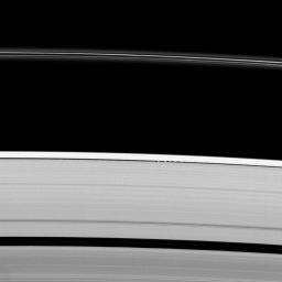 Saturn's moon Daphnis gives a scalloped look to the edge of the A ring as the moon orbits within the Keeler Gap in this image taken by NASA's Cassini spacecraft on Apr. 30, 2009.