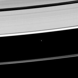 Saturn's moon Atlas, shown at the center of this image taken by NASA's Cassini spacecraft on May 2, 2009, orbits within the Roche Division separating the A ring from the tenuous F ring.