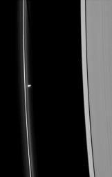 Prometheus is seen near Saturn's tenuous F ring as the moon orbits in the Roche Division, between the F and A rings. This image is from NASA's Cassini spacecraft.