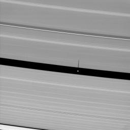 Saturn's moon Pan, orbiting in the Encke Gap, casts a slender shadow onto the A ring. This image is from NASA's Cassini spacecraft.