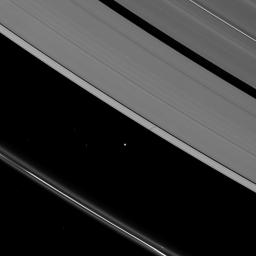 Atlas joins other moons casting shadows on Saturn's rings as the planet approaches its August 2009 equinox. This image is from NASA's Cassini spacecraft.
