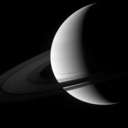 The shadow of the moon Enceladus appears on Saturn just south of the thin shadow of the planet's rings in this image captured by NASA's Cassini spacecraft.