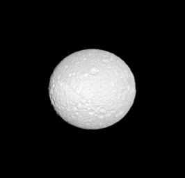 NASA's Cassini spacecraft reveals the cratered surface of Mimas, a moon whose shape is flattened at the poles.