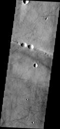 This image from NASA's Mars Odyssey shows dust devil tracks located on Syria Planum, just south of Noctis Labyrinthus.