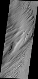 This image from NASA's Mars Odyssey shows wind eroded features located on the margin of materials of Lacus Planum.