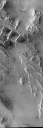 This image from NASA's Mars Odyssey shows a portion of Angustus Labyrinthus, a region of intersecting linear ridges near the south pole of Mars.