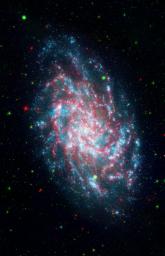 NASA's Galaxy Evolution Explorer Mission celebrates its sixth anniversary studying galaxies beyond our Milky Way through its sensitive ultraviolet telescope, the only such far-ultraviolet detector in space. Pictured here, the galaxy NGC598 known as M33.