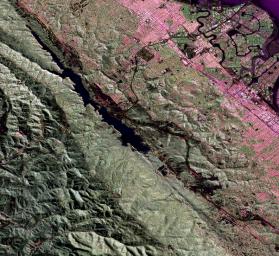 This image is a false-color composite of three channels from data acquired by NASA's Uninhabited Aerial Vehicle Synthetic Aperture Radar over the San Andreas Fault west of San Mateo, California.