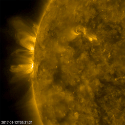 NASA's Solar Dynamics Observatory captured magnetic arcs of plasma that spiraled above two active regions held their shape fairly well over 18 hours on Jan. 11-12, 2017.