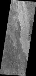 This image from NASA's Mars Odyssey shows lava flows related to Arsia Mons.