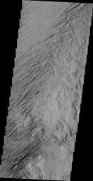 This image of Zephyria Planum, taken by NASA's 2001 Mars Odyssey spacecraft, shows wind eroded yardangs.