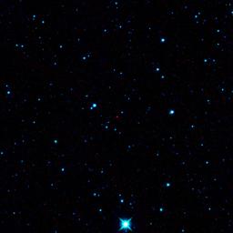 The red dot at the center of this image is the first near-Earth asteroid discovered by NASA's Wide-Field Infrared Survey Explorer, or WISE -- an all-sky mapping infrared mission designed to see all sorts of cosmic objects.