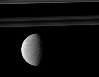 Rhea's trailing hemisphere shows off its wispy terrain on the left of this image taken by NASA's Cassini spacecraft which includes Saturn's rings in the distance.