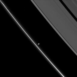 Saturn's small moon Prometheus, slightly overexposed in this image taken by NASA's Cassini spacecraft, shows off its potato-like shape as it orbits in the Roche Division between the A ring and thin F ring.