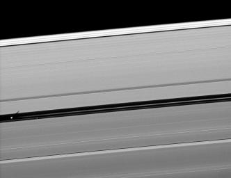 Orbiting in the Encke Gap of Saturn's A ring, the moon Pan casts a shadow on the ring in this image taken about six months after the planet's August 2009 equinox by NASA's Cassini spacecraft.