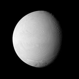 NASA's Cassini spacecraft examines old and new terrain on Saturn's fascinating Enceladus, a moon where jets of water ice particles and vapor spew from the south pole. Newly created terrain is at the bottom, in the center and on the left of this view.