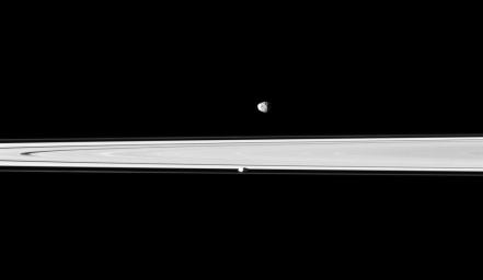 A pair of Saturn's small, icy satellites accompany the planet's rings in snapshot from NASA's Cassini spacecraft. The rings are between Janus and Prometheus.