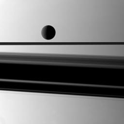 Saturn's moon Rhea is gently lit in front of a background of the planet with a wide shadow cast by the rings which are seen nearly edge-on in this image captured by NASA's Cassini spacecraft.