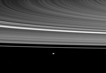 Saturn's rings appear curved in this view from NASA's Cassini spacecraft, which also shows the moon Janus in the distance. Janus is at the bottom of the image and is farther from the spacecraft than the rings are.
