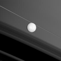 Saturn's moon Enceladus brightly reflects sunlight before a backdrop of the planet's rings and the rings' shadows cast onto the planet. NASA's Cassini spacecraft captured this snapshot during its flyby of the moon on Nov. 30, 2010.