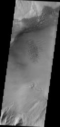 The sand sheet and dunes in this image, taken by NASA's 2001 Mars Odyssey spacecraft, are located on the floor of Juventae Chasma.