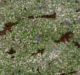 This image, acquired 11-05-2007 by NASA's Terra spacecraft, shows the city of Chateaubriant, France, surrounded by very old farmsteads. The surrounding countryside presents an interesting pattern of randomly oriented, small individual farmsteads.