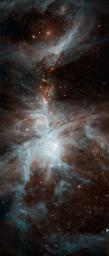 A colony of hot, young stars is stirring up the cosmic scene in this new picture from NASA's Spitzer Space Telescope. The image shows the Orion nebula, a happening place where stars are born.