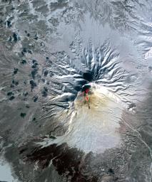 Sheveluch Volcano in Kamchatka, Siberia, is one of the frequently active volcanoes located in eastern Siberia. In this image from NASA's Terra spacecraft, brownish ash covers the southern part of the mountain, under an ash-laden vertical eruption plume.