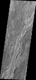 Some of the youngest volcanic flows on Mars are from Arsia Mons. This image captured by NASA's 2001 Mars Odyssey of Daedalia Planum shows some of these flows.