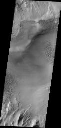 Baetis Chasma is a chasmata near but not directly connected to Valles Marineris. Dunes are prevalent on the floor of this portion of Juventae Chasma in this image taken by NASA's 2001 Mars Odyssey.