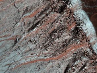 This image taken by NASA's Mars Reconnaissance Orbiter shows gullies in a semi-circular trough in Noachis Terra. The gullies are observed to face all directions.