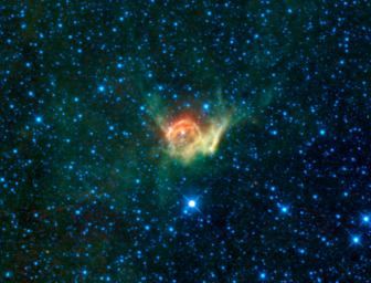 This heroic image from NASA's Wide-field Infrared Survey Explorer is of a special cloud of dust and gas in the constellation Canis Major catalogued as NGC 2359, or more commonly known as Thor's Helmet.