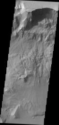 This image taken by NASA's 2001 Mars Odyssey of Ganges Chasma shows where a large portion of the canyon wall has given way and formed a landslide deposit.