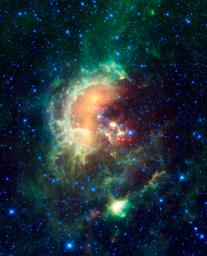 A new infrared image from NASA's Wide-field Infrared Survey Explorer, or WISE, showcases the Tadpole nebula, and asteroids that just happened to be cruising by.