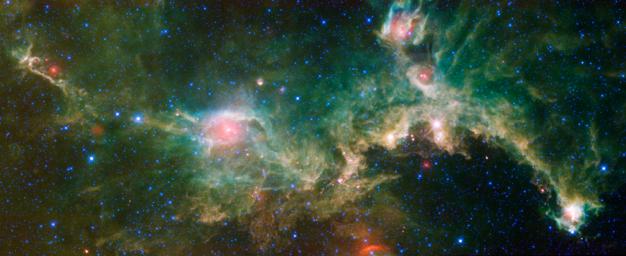 The Seagull nebula, seen in this infrared mosaic from NASA's Wide-field Infrared Survey Explorer, draws its common name from it resemblance to a gull in flight. 
