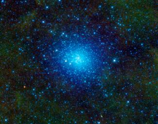 NASA's Wide-field Infrared Survey Explorer has captured a favorite observing target of amateur astronomers, Omega Centauri. This celestial cluster of stars can be found in the constellation Centaurus.