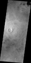 This image from NASA's 2001 Mars Odyssey of central Utopia Planitia shows some dust devil tracks. These features are common in this region of Mars.