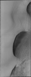 Dunes are common at both poles of Mars. These northern pole dunes are still covered in frost, as it is early springtime when this image was acquired by NASA's 2001 Mars Odyssey.