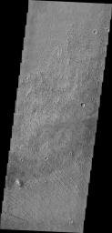 Located on the margin of Zephyria Planum, this image from NASA's 2001 Mars Odyssey shows the effect the wind has had on the surface of Mars. Loose materials have been removed and semi-consolidated materials have been eroded into narrow hill forms.